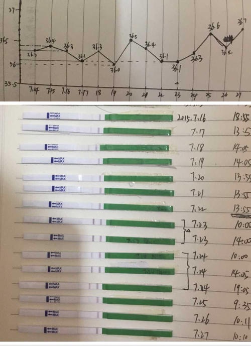 排卵试纸强阳_试纸强阳后多久排卵_试纸强阳后多久排卵 男孩