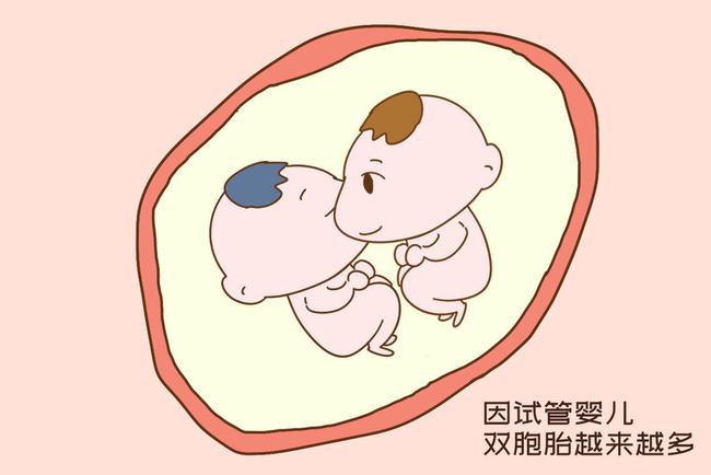 同卵双胞胎_异卵双胞胎_同卵与异卵双胞胎