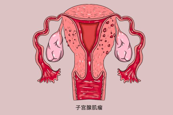 雌激素低怎么办_人促黄体生成激素低_促甲状腺激素低原因