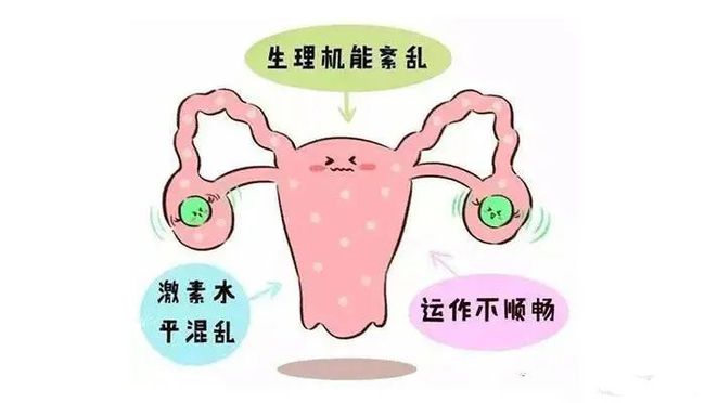 促甲状腺激素低原因_人促黄体生成激素低_雌激素低怎么办