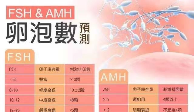 子宫内膜薄_子宫n内膜弥漫型小息肉_始基子宫会长内膜吗