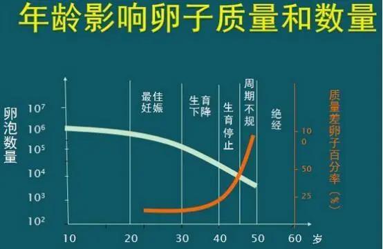 卵泡22x16是优质卵泡吗_多囊卵巢窦状卵泡_窦卵泡计数