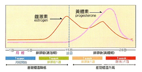 多囊卵巢窦状卵泡_窦卵泡计数_卵泡22x16是优质卵泡吗