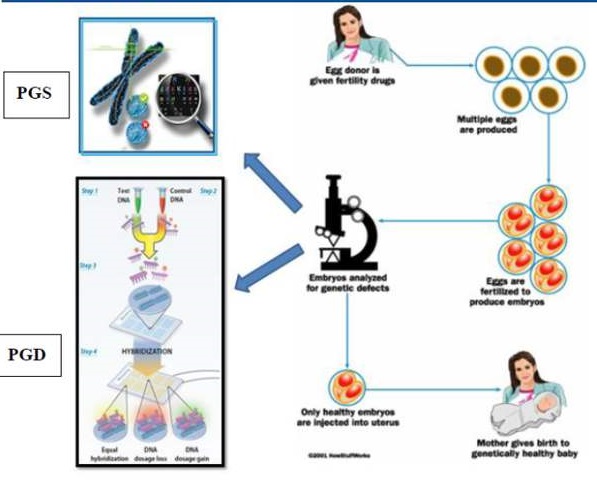 英短蓝猫尴尬期多久_3d天牛图库综合彩报311期_短QT间期综合征