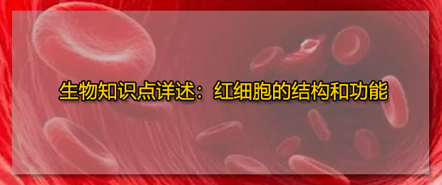 红细胞