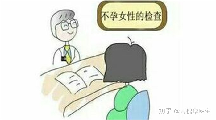 黄体素