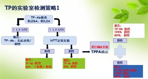 梅毒抗体弱阳性_梅毒抗体阳性会传染吗_梅毒抗体