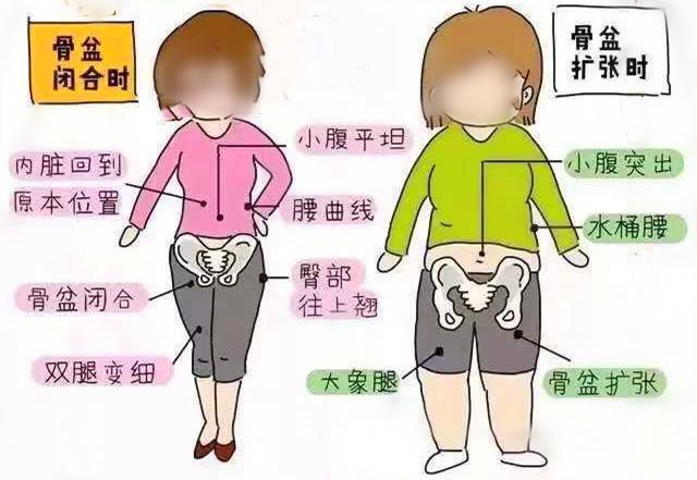 盆底肌康复治疗_盆底肌修复_产后康复盆底肌