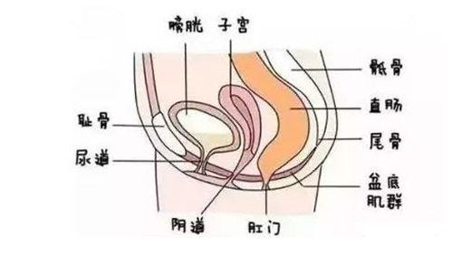产后恶露膏_顺产产后恶露多久干净_产后恶露