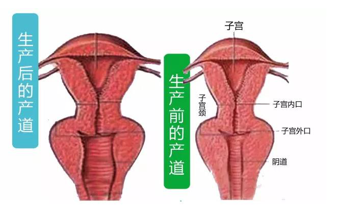 产后恶露_顺产产后恶露多久干净_产后恶露膏
