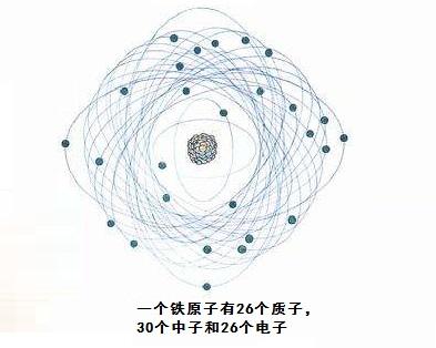 红细胞_细胞核是遗传信息库,是细胞_细胞附红体 猪瘟和猪丹毒的治疗