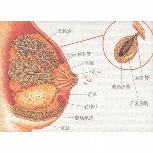 回奶药_回奶药不影响吗_药房有回奶药吗