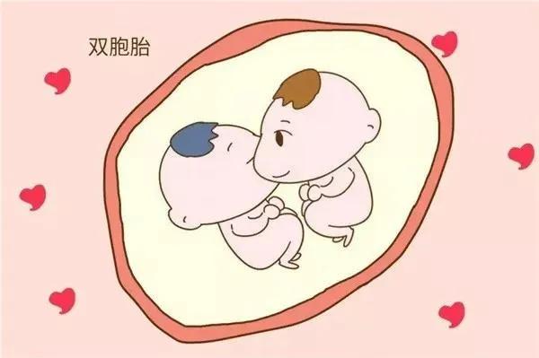 怎么生双胞胎_梦见自己生两对双胞胎_头胎双胞胎能生二胎吗