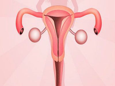 子宫内膜薄_子宫双层内膜厚度多少正常_内膜正常子宫会粘连