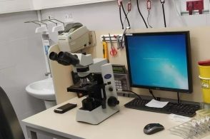 辅助生殖_哪里辅助生殖医院便宜_辅助生殖便宜的医院