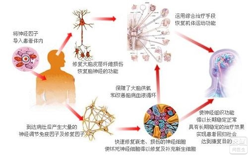 梅毒抗体弱阳性_梅毒抗体_梅毒抗体 阳性