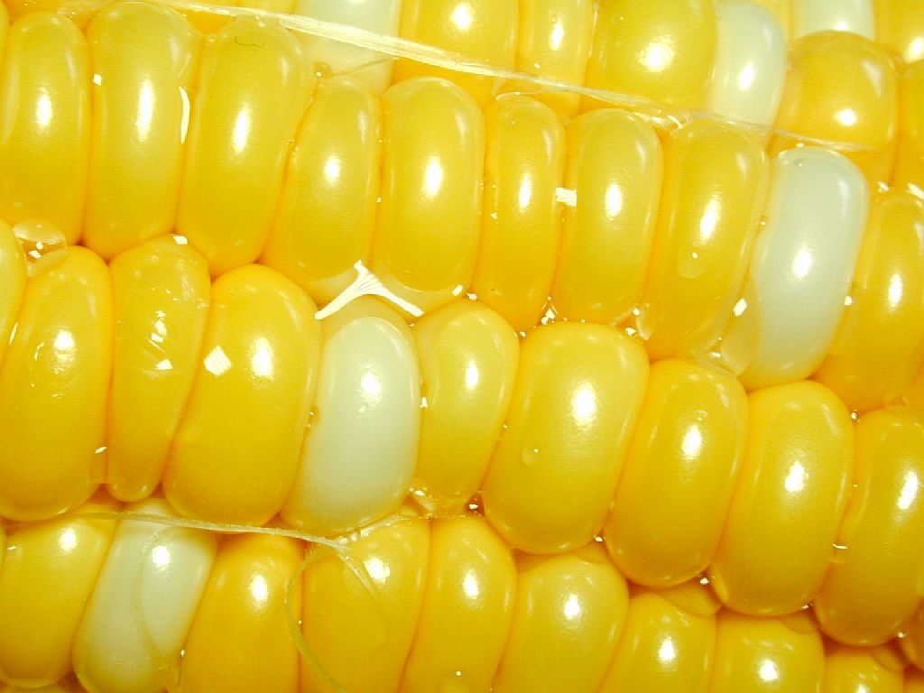 孕妇可以吃糯米玉米吗_孕妇可以吃玉米吗_孕妇可以吃玉米面吗