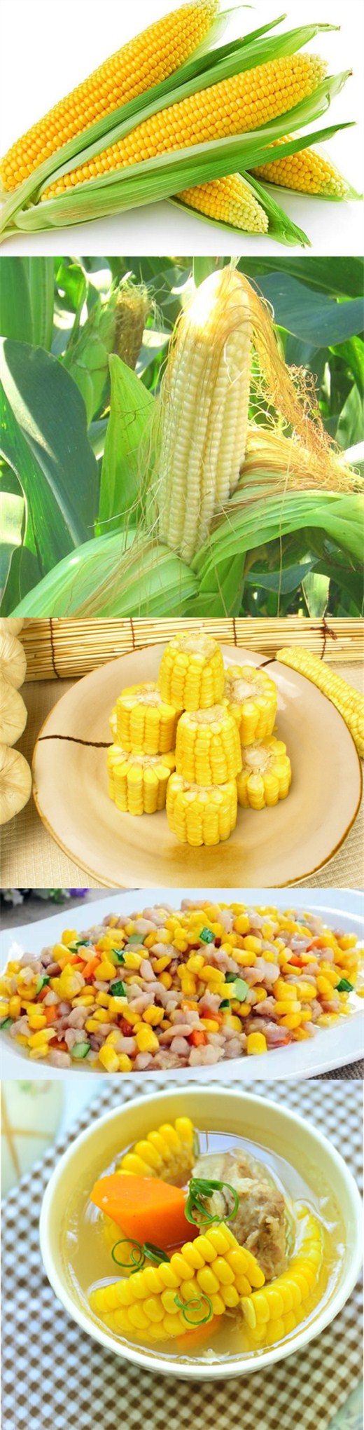 孕妇可以吃糯米玉米吗_孕妇可以吃玉米吗_孕妇可以吃玉米面吗