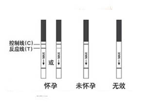 环氧棒环氧棒_转珠棒好还是伸缩棒好_验孕棒