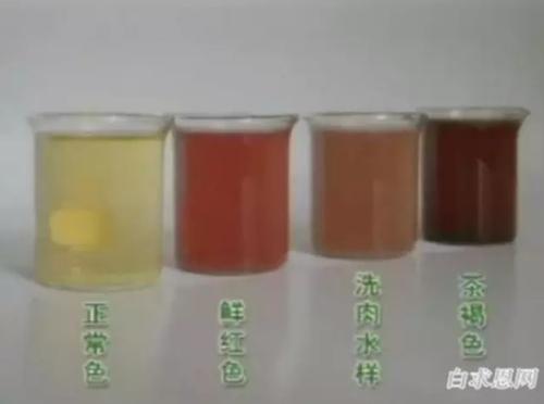 转珠棒好还是伸缩棒好_验孕棒_环氧棒环氧棒