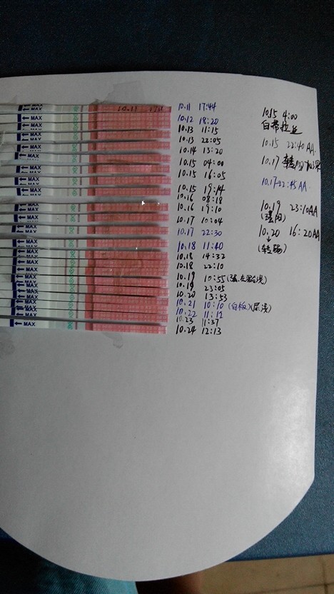 排卵试纸强阳后多久会排卵_排卵试纸强阳后多久排卵图片_排卵试纸强阳