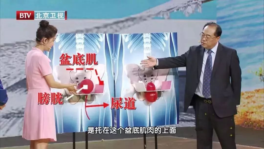 盆底肌修复