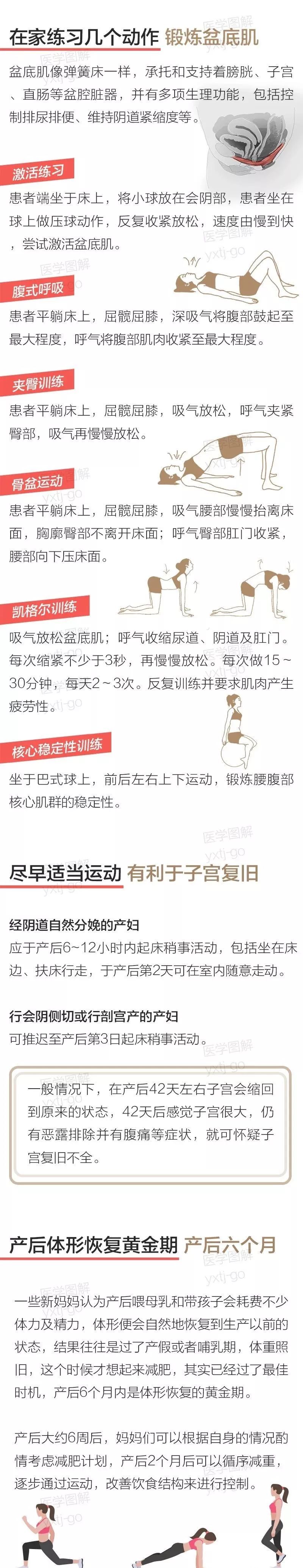 盆底肌修复