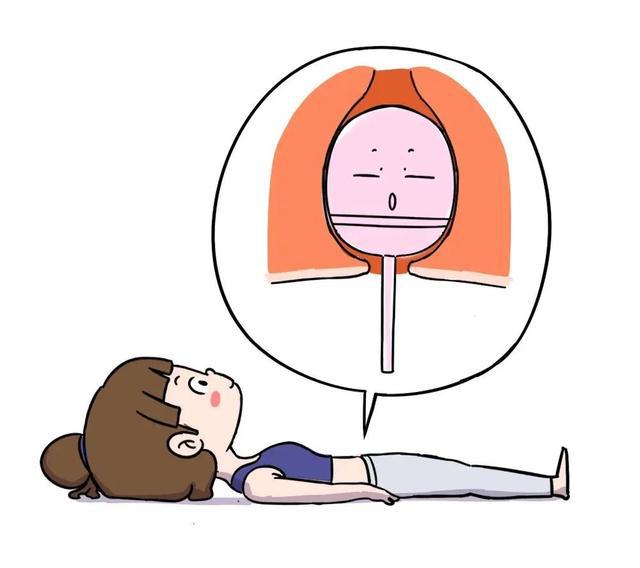 盆底肌康复训练_盆底肌修复_盆底肌康复治疗