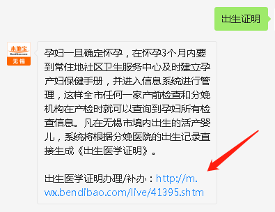出生证明办理