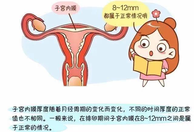子宫内膜厚度_内膜厚度多少正常_产后内膜厚度多少正常