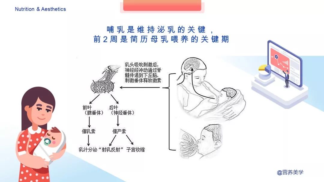 催乳师催乳多少钱_催乳激素_催乳师催乳图片
