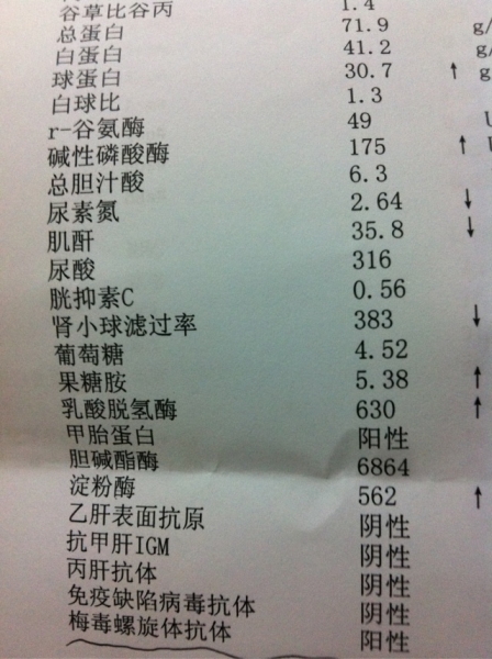 梅毒抗体是什么_梅毒抗体_梅毒特异性抗体阳性