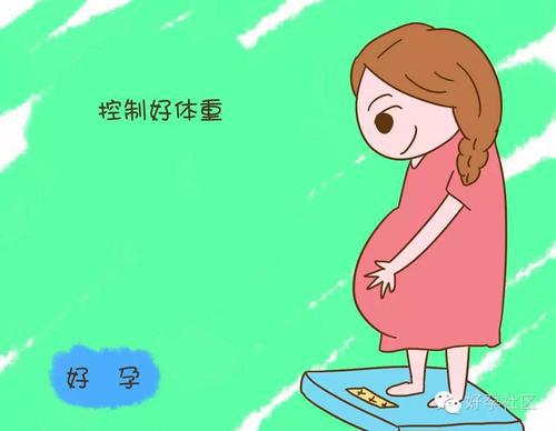 黄体素_妊娠黄体和月经黄体_黄体铜