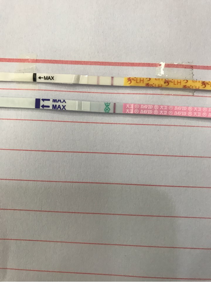 排卵试纸强阳_测排卵试纸强阳后多久排卵_排卵试纸强阳后多久会排卵