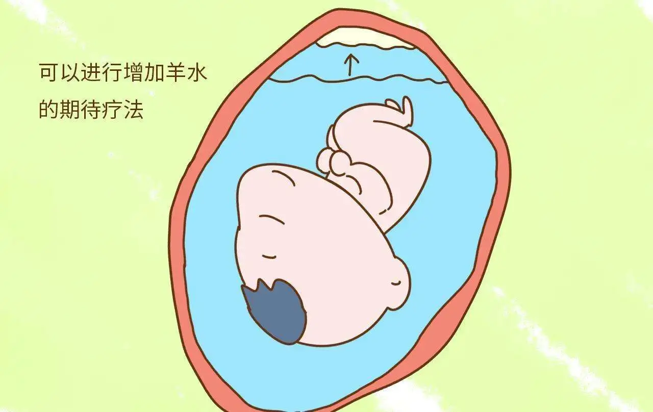 孕妇可以吃李子吗孕妇可以吃栗子吗蜂蜜吗_孕妇吃西瓜可以吃多少_孕妇可以吃土豆吗