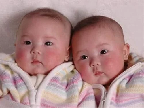 怎么生双胞胎