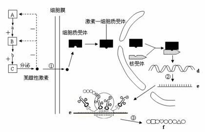 雌激素低怎么办_激素引起的低钾怎么办_促甲状腺激素低