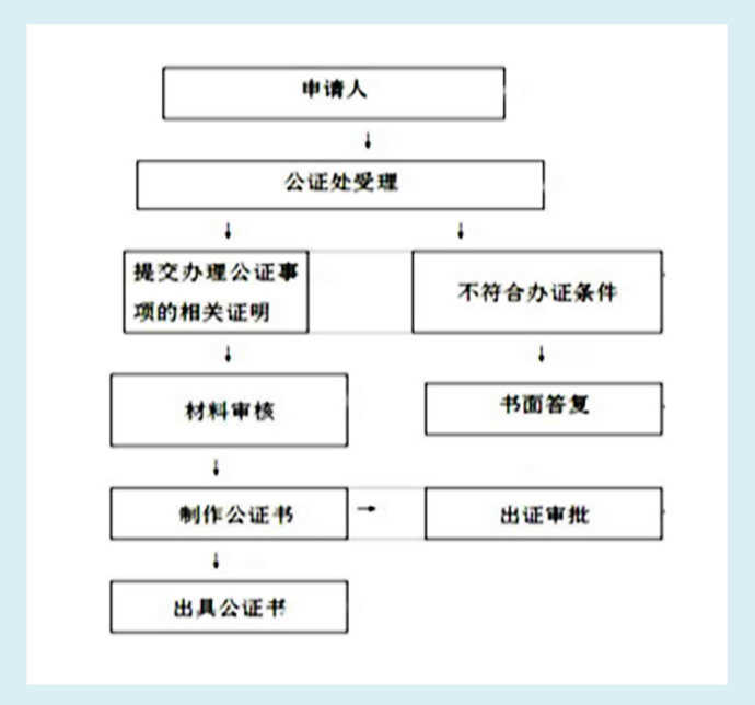 出生证明办理
