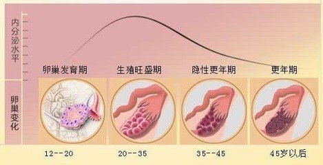 雌激素低怎么办_雌孕激素低_激素引起的低钾怎么办