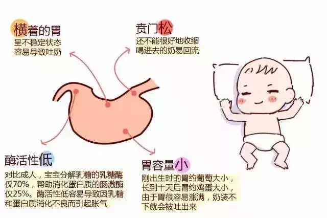 新生儿吐奶