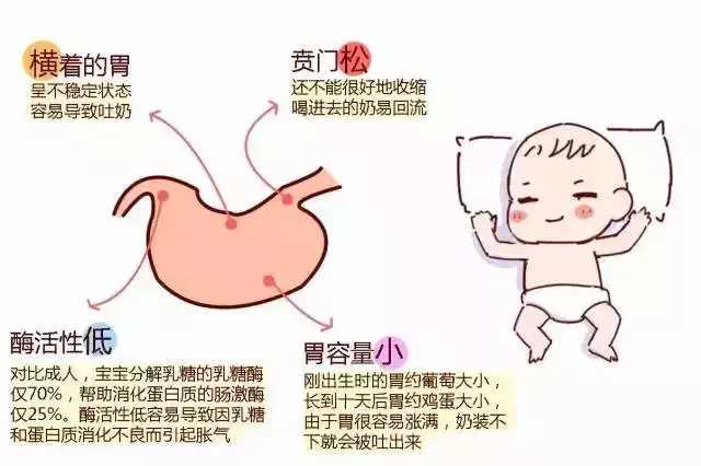 新生儿吐奶