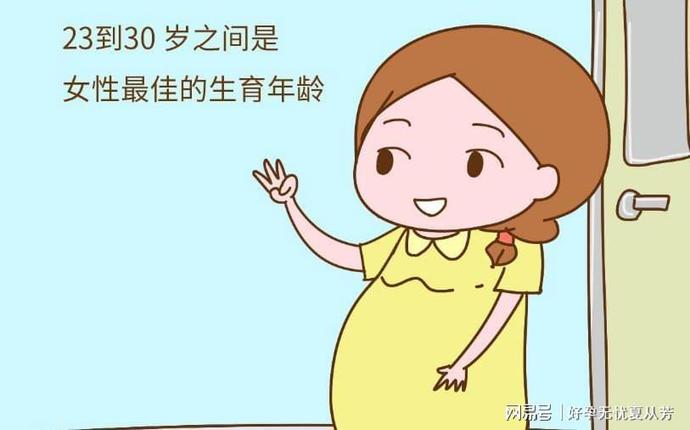 窦卵泡计数