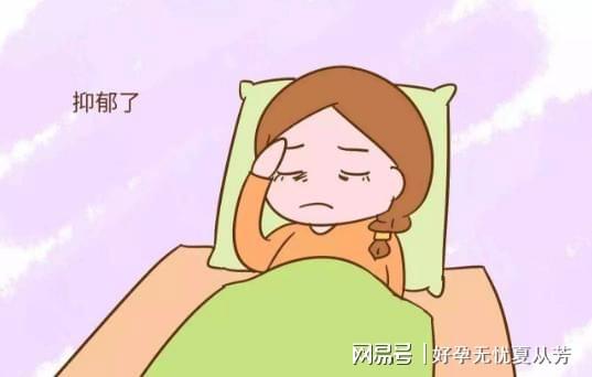 窦卵泡计数