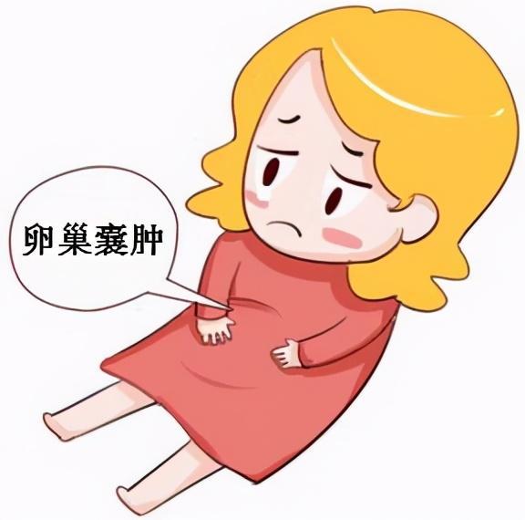 黄体期_滤泡期排卵期黄体_卵泡期促黄体生成素