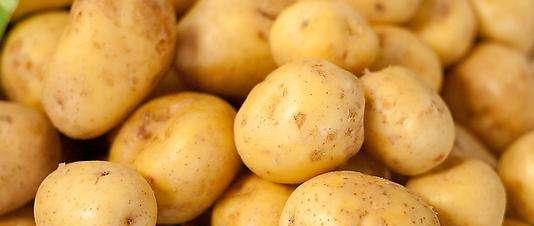 孕妇可以吃土豆吗_孕妇可以吃李子吗孕妇可以吃栗子吗蜂蜜吗_孕妇吃提子可以吃皮吗