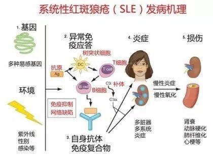 地海中贫血严重会怎样_地海中贫血有哪些症状_地中海贫血