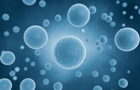 地海中贫血严重会怎样_地中海贫血_地海中贫血有哪些症状