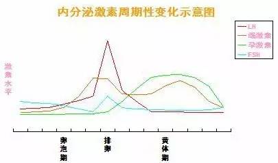 催乳师催乳有用吗_催乳激素_催乳师催乳方法有哪些