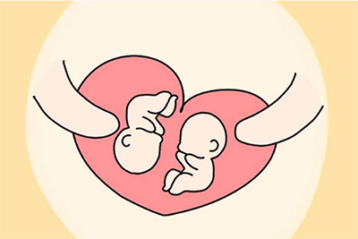 怎么生双胞胎_如何能生同卵双胞胎_双胞胎怎么生