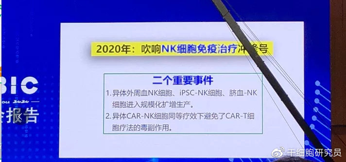 nk细胞